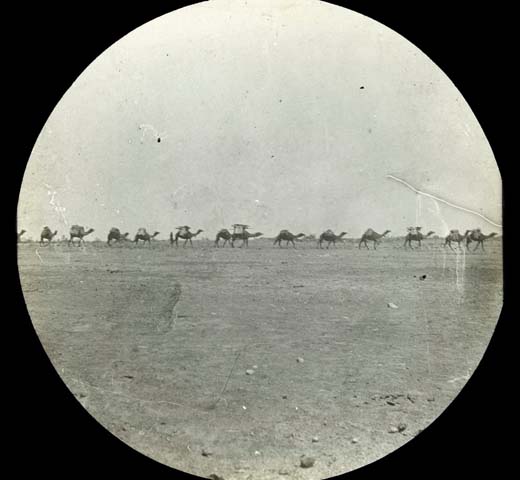 (1898) ‘Camel train crossing the desert’, Lantern slides of the Burke and Wills Expedition, MS 13867, Accession# MS13867/51, State Library of Victoria, Melbourne, VIC.