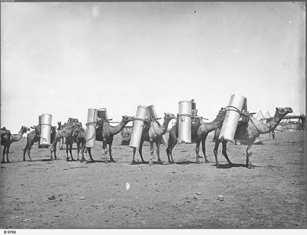 (1911) ‘Camel Train [B 9788]’, General Collection, State Library of South Australia, Adelaide, SA.