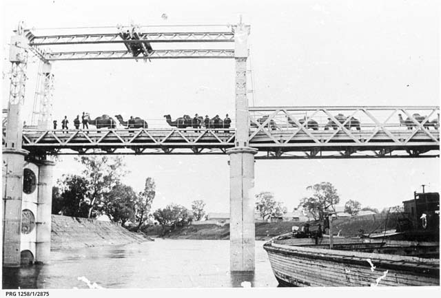 (1896) ‘P.S. Nile and barge approaching Wilcannia Bridge with camels crossing overhead [PRG 1258/1/2875]’, Godson Collection, State Library of South Australia, Adelaide, SA.