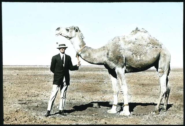 Flynn, J. (1912) ‘Man holding camel a lantern slide used by John Flynn in lectures’. Retrieved May 21, 2020, from https://nla.gov.au/nla.obj-142405255.