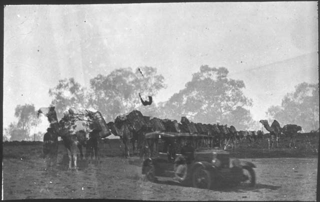 Flynn, J. (1927) ‘Camel train and a bogged car, Northern Territory taken during the Resonian trip to the Northern Territory led by John Flynn.’ Retrieved May 21, 2020, from https://nla.gov.au/nla.obj-142484900.