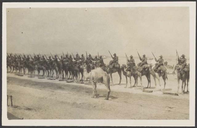 (1917) ‘Imperial Camel Corps, Palestine, approximately 1917’. Retrieved May 21, 2020, from https://nla.gov.au/nla.obj-153422858.