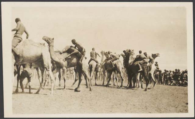 (1917) ‘Troops wrestling on camel back, Palestine, approximately 1917, 1’. Retrieved May 21, 2020, from https://nla.gov.au/nla.obj-153423150.