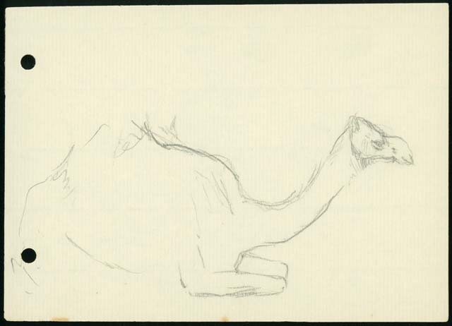 Teague, V. (1933) ‘Camel study’, Accession# H2010.123/55, Pictures Collection, State Library of Victoria, Melbourne, VIC.