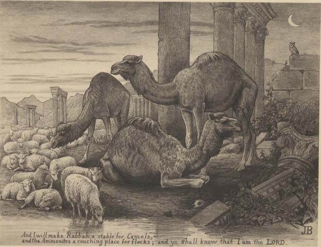 Blackburn, J. (1886) ‘Rabbah a stable for camels’, Bible beasts and birds: a new edition of illustrations by an animal painter, London: Kegan Paul, Trench & Co., p.120.