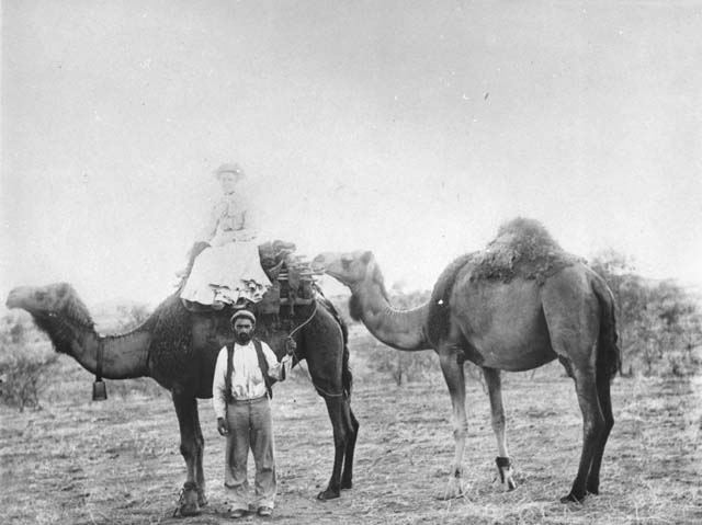 (1904) ‘Afghan cameleer escorts Mrs Walter Lawrence Silver on the wallaby track, ca. 1904’, Neg# 96052, Brisbane John Oxley Library, State Library of Queensland, Brisbane, QLD.