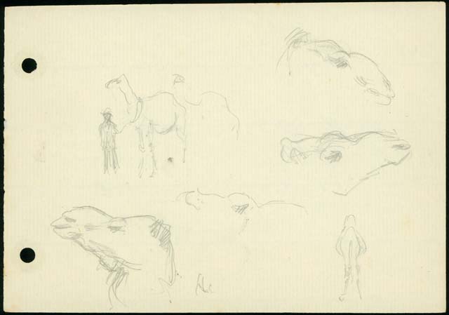 Teague, V. (1933) ‘Camel – head studies, [N.T.]’, Accession# H2010.123/49, Pictures Collection, State Library of Victoria, Melbourne, VIC.